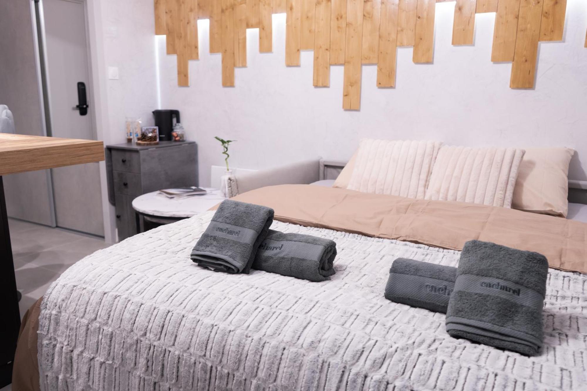 Studio Cabine Au Loup Blanc Avec Vue Mont Blanc 생제르베레뱅 외부 사진